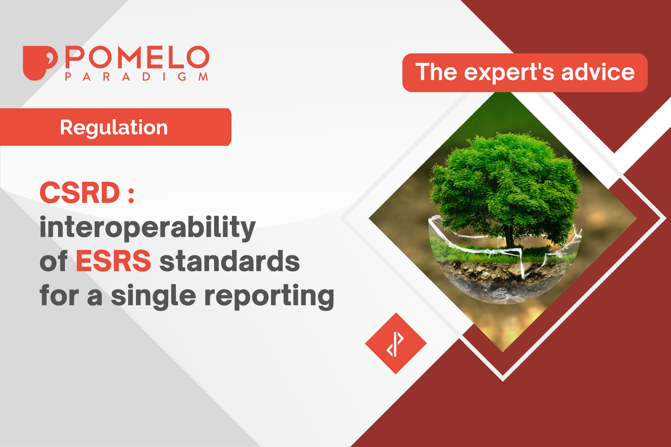 CSRD: interoperability of ESRS standards for a single reporting ...